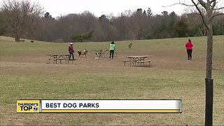 Best dog parks in metro Detroit