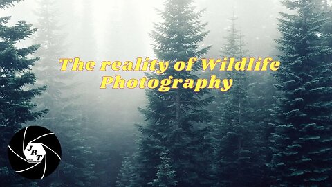 The reality of wildlife photography