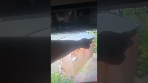Man Eating Pussy Cat Lunges at Police Officer on Safari #CSI #myABBEY #ravedump.com CCTV