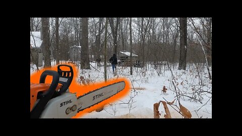 Dropping Trees in Deep Snow!! (STIHL)