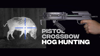 First Ever PISTOL CROSSBOW NIGHT HUNT - Killed a HOG! BIG Game!