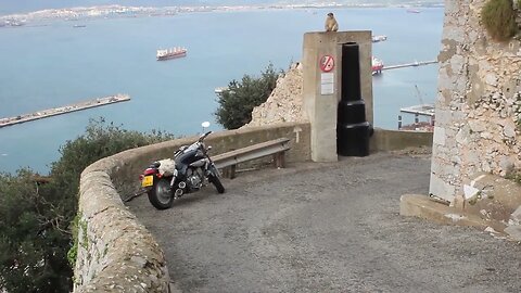 The Monkeys Den Gibraltar
