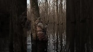 Arkansas timber, just something you have to experience yourself