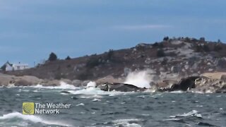 Choppy waters roll into Peggy's Cove
