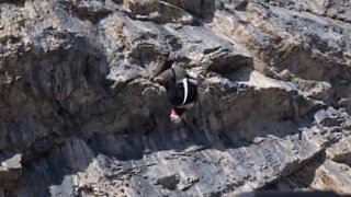 Extreme BASE jumping with 8 flips