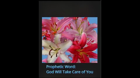 Prophetic Word: God Will Take Care of You