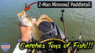 This Z-Man Bait Catches Tons of Fish