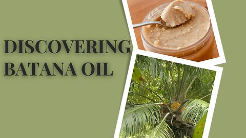 The Hidden Treasure of the American Oil Palm