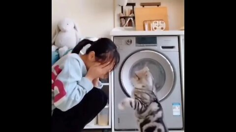 Funny Cute Cats videos 😹 - Don't try to hold back Laughter 😂 best of 2021