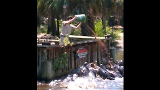 Alligator Feeding at St Augustine Alligator Farm Park