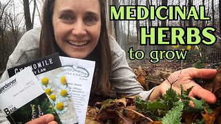 Medicinal Herbs to Grow at Home | What I'm Growing this Year