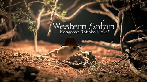 Western Safari | The real Disneys Rescuers Down Under #shorts