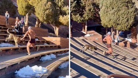 Fitness fanatic incredibly runs backwards down stadium stairs