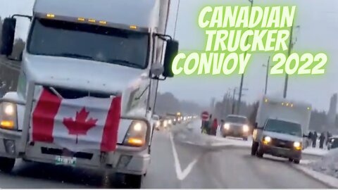 We Love Canadian Truckers 🇨🇦 Canadian Trucker Convoy 2022