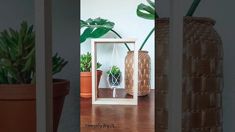 DIY WOODEN PLANT DISPLAY #shorts #diyhomedecor #plantdisplay #diyproject