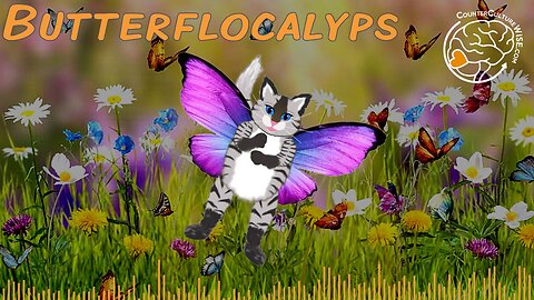 Butterflocalypse