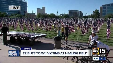 Flags planted at Tempe Beach Park to honor 9/11 victims