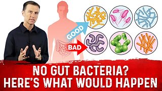 What Would Happen if You Get Rid of All Gut Bacteria? – Dr.Berg