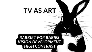 Art for Babies | 10 mins High Contrast Video for Babies | Help Develop Visual Skills | Rabbits