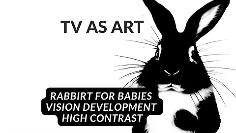 Art for Babies | 10 mins High Contrast Video for Babies | Help Develop Visual Skills | Rabbits