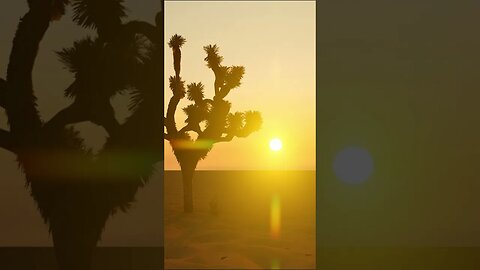 Desert Serenity: Bask in the Sunshine with Soothing Meditation Music #shorts