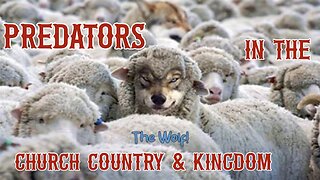 Predators in The Kingdom, Country and Church