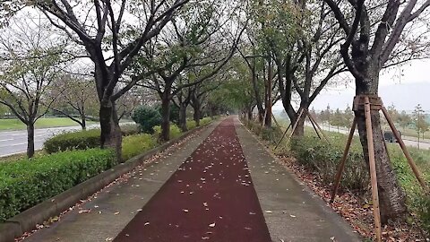 I walk the bike path on a rainy day.