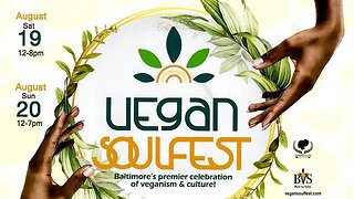 WHAT's IN STORE FOR VEGAN SOULFEST 2023?