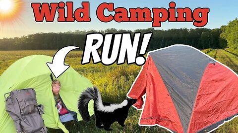 Wild Camping at Rum River State Forest