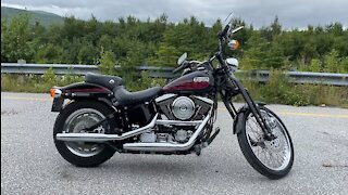 1996 Harley Davidson Springer Softail Bad Boy