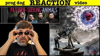 Pattern-Seeking Animals "Window to the World" (reaction episode 815 )