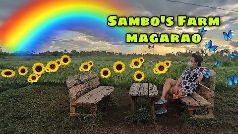 Provence Sambo's Farm Magarao Philippines Part 2 of 2