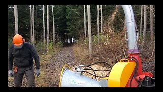 Awesome Homestead Wood Chipper