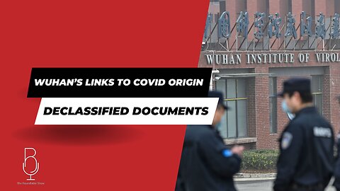 DeClassified Documents - Wuhan’s Links to Covid Origin w/ Dr R Malone