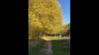 Beautiful Hikes in Texas