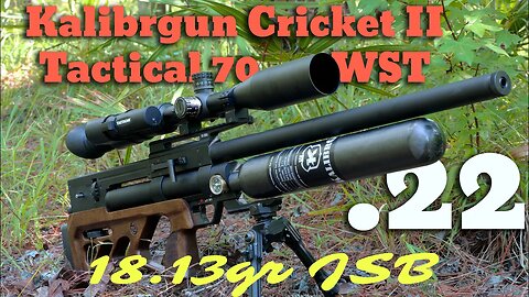 Cricket 70 WST shooting 18.13gr to 100yd!
