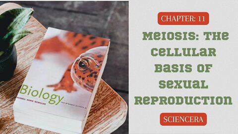 Meiosis: The Cellular Basis of Sexual Reproduction