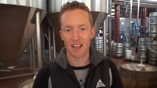 South Africa - Johannesburg - Mad Giant making award-winning beer (Video) (vM3)