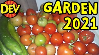 SFO Garden 2021!