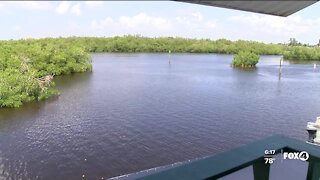 Bonita Springs and FGCU teaming up to appoint new city water steward