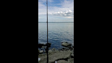 Chilling.fishing .