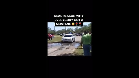 Mustang does massive burn 🔥