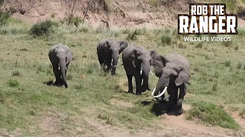 Elephants At The River | Lalashe Maasai Mara Safari