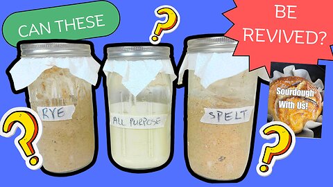 Can YEARS Neglected Sourdough Starter be Revived?