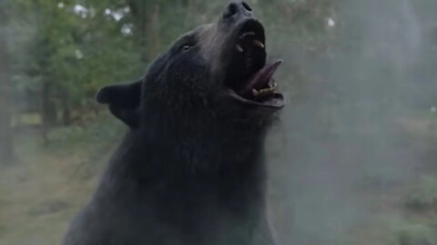 Cocaine Bear (2023) Trailer