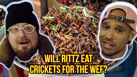 will RITTZ eat CRICKETS for BILL GATES & The World Economic Forum? - Street Interviews Black Pegasus