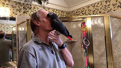 Parrot And Owner Share Very Special Bond