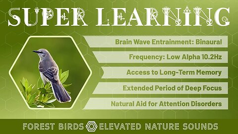 Super-Learning Forest Birds Binaural 10.2Hz Study Focus Long Term Memory