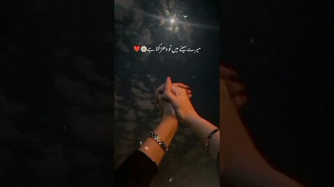 #shayari #pakistanidramas2022 // trending shorts on youtube // youtube shorts //har pal geo