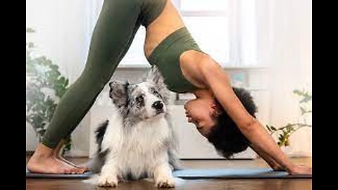 Puppies and Yoga